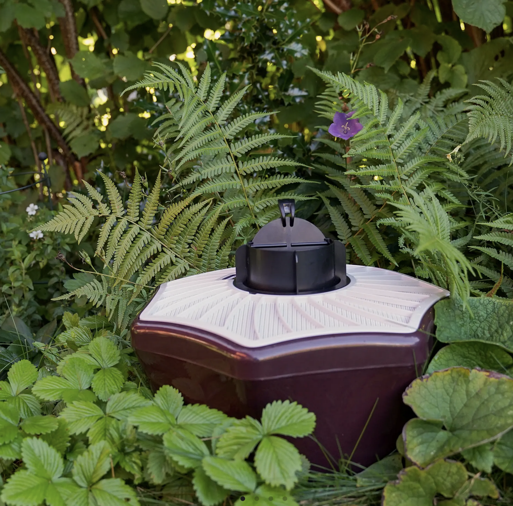 Mise en situation du piège à moustiques Bg-Mostiquaire Biogents