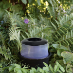 Mise en situation du piège à femelles moustiques bg-gat Biogents