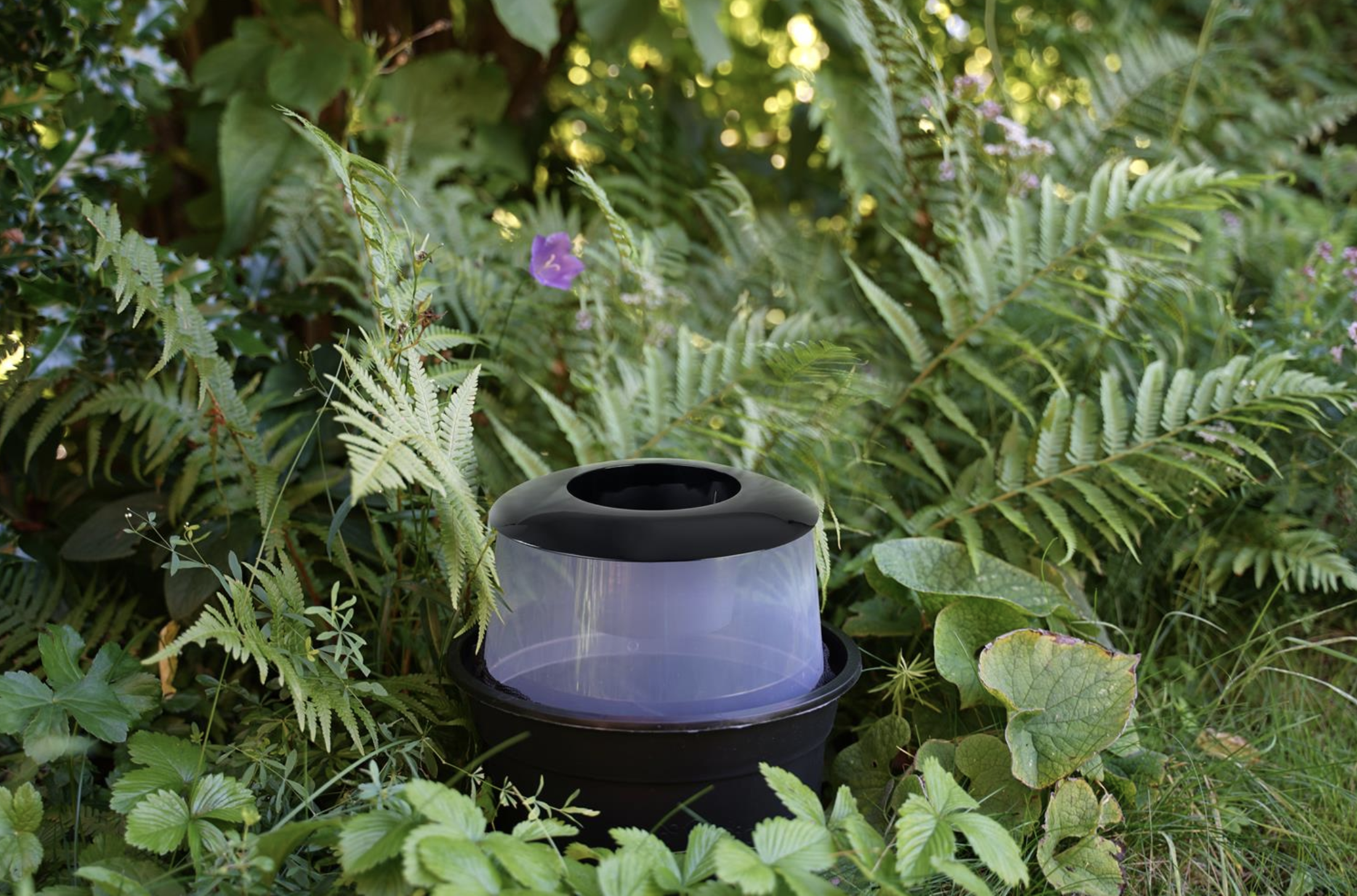 Mise en situation du piège à femelles moustiques bg-gat Biogents